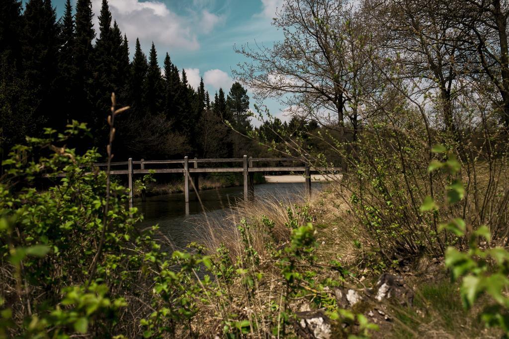 Rheezerstee Bed and Breakfast Εξωτερικό φωτογραφία